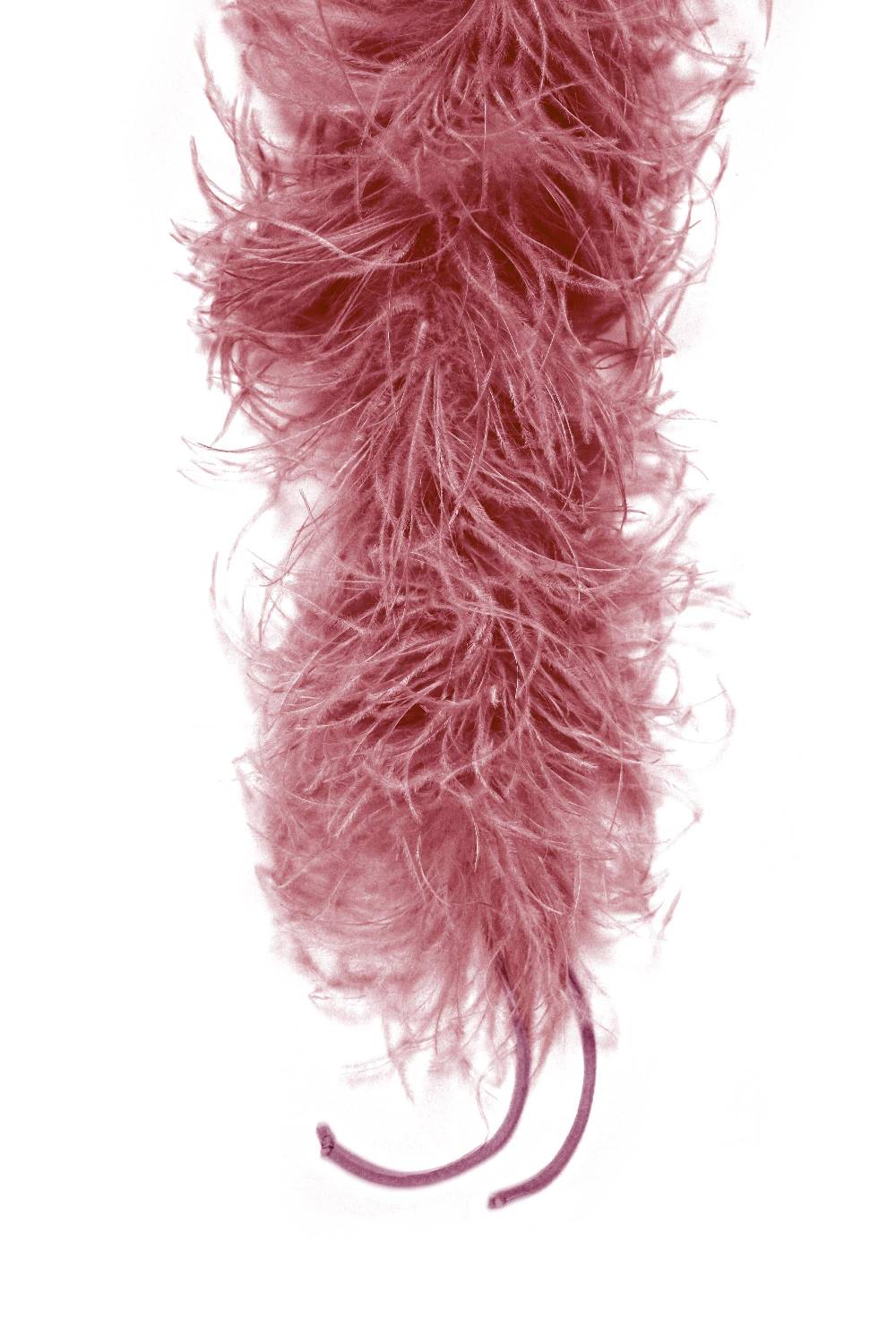 La Petite Robe Di Chiara Boni feathers boa In Linea