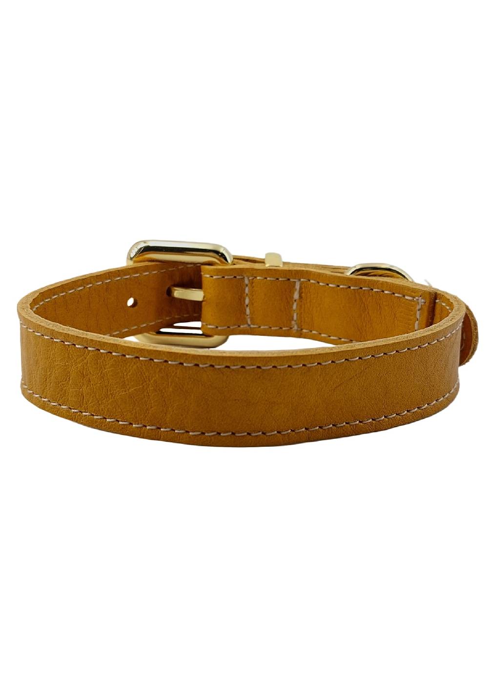 Paola T. Collare basic Shopping Online