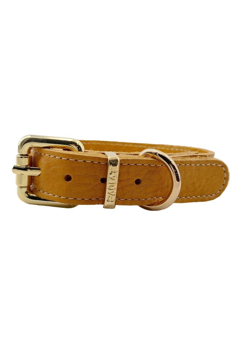 Paola T. Collare basic Shopping Online
