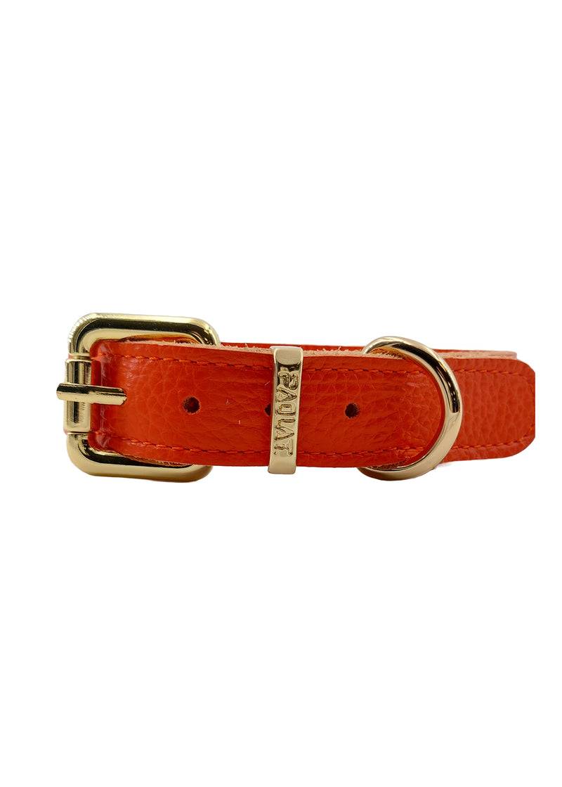 Paola T. Collare diamond Sconto