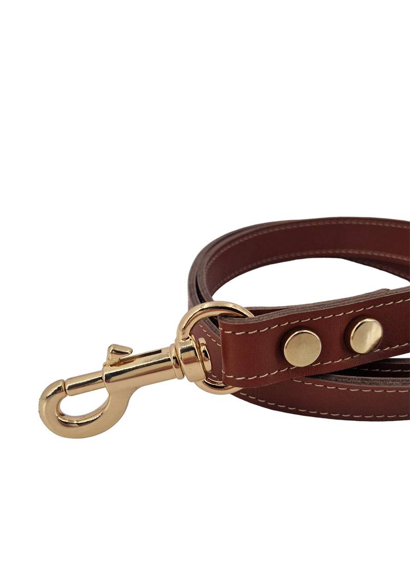 Paola T. Guinzaglio classico Outlet